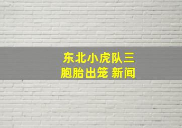 东北小虎队三胞胎出笼 新闻